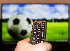 日本新星,岁神发挥,德甲大战独,龙8国际,龙8国际入口,龙8国际平台,龙8国际官方