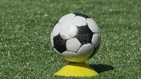 龙8国际 产品 233152 oud