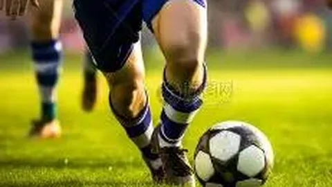 龙8国际 产品 092510 la2