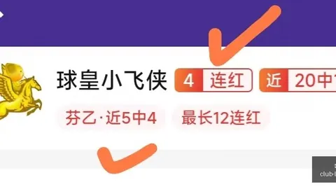 龙8国际 184508